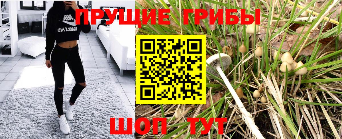 Галлюциногенные грибы прущие грибы  Вход с VPN  Елец 